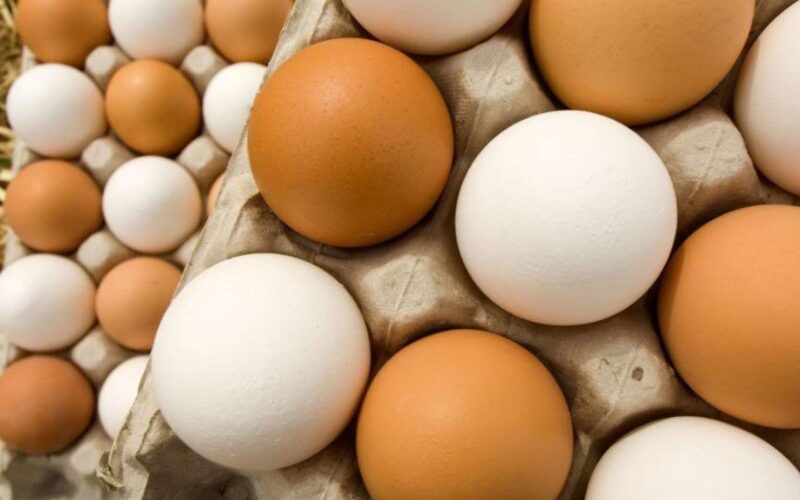 أسعار البيض اليوم الأربعاء الموافق 3 ابريل 2024 للمستهلك في جميع المحلات التجارية