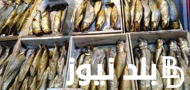 “أكلات عيد الفطر ” اسعار الرنجة والفسيخ اليوم في جميع المحلات التجارية في مصر