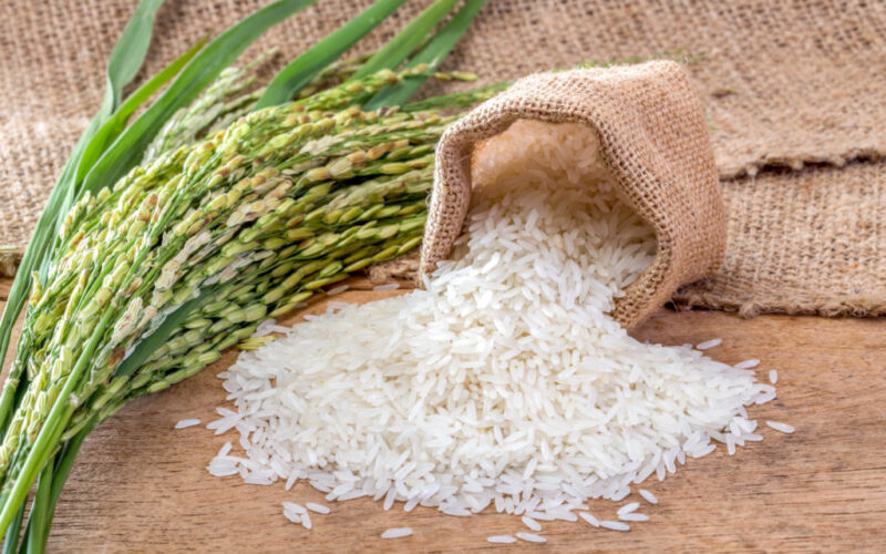 سعر الأرز الشعير الآن 2024 للمستهلكين في مصر