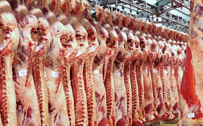 أسعار اللحوم اليوم الثلاثاء 2 ابريل 2024 في جميع المحلات الجزارة