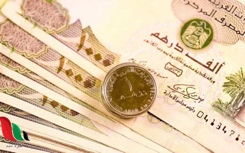 سعر الدرهم الاماراتي اليوم الثلاثاء 2 أبريل 2024 في البنك المركزي المصري مقابل الجنيه المصري