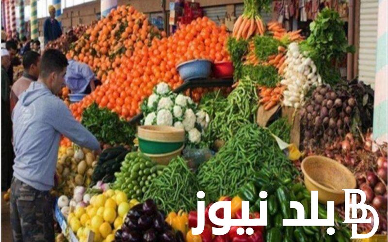 “سعر الجملة” أسعار الخضروات في سوق العبور اليوم الثلاثاء 16 ابريل 2024 للمُستهلكين