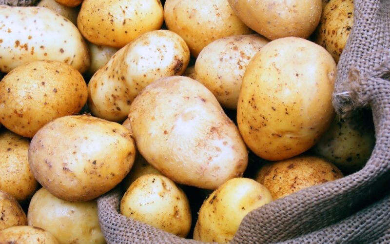 “بالكيلو” ما هو سعر البطاطس اليوم؟ السبت 20 ابريل 2024 في سوق العبور وللمستهلك