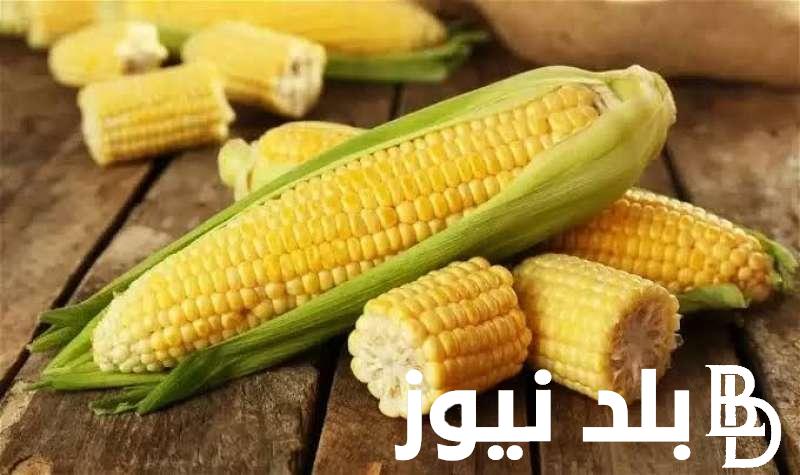 ‎سعر طن الذرة الصفراء اليوم الجمعة 5 – 4 – 2024 و اسعار الاعلاف