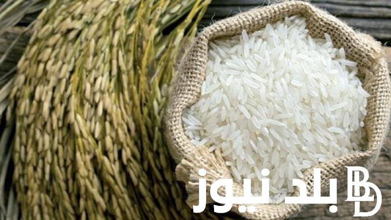 الشيكارة وصلت كام؟.. سعر طن الأرز الشعير اليوم الاربعاء 17 ابريل 2024 للتجارو المستهلكين