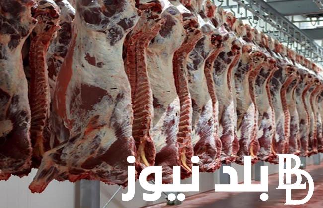 ” الحقي خزين للعيد “.. اسعار اللحوم في مصر اليوم الاحد 21 ابريل 2024 للمستهلك في جميع الاسواق المصرية