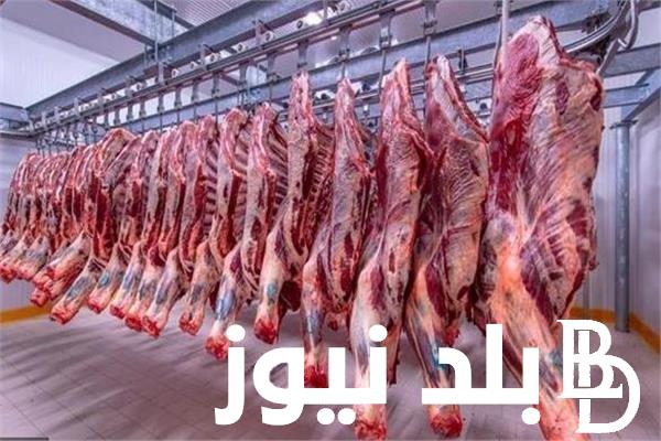 البتلو بكام؟.. أسعار اللحوم اليوم  الاثنين 8 ابريل 2024 في جميع محلات الجزارة ومنافذ الوزارة