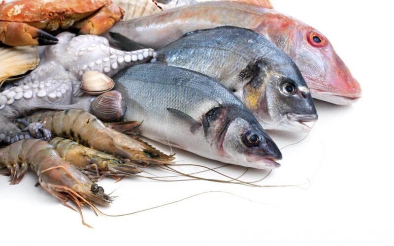 “موسى ومكرونة” أسعار السمك اليوم بسوق العبور بتاريخ الخميس 18 أبريل 2024 للمستهلك