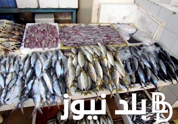جدول اسعار السمك اليوم الأثنين 29 أبريل 2024 للمستهلك وتجار الجملة في مصر بسوق العبور