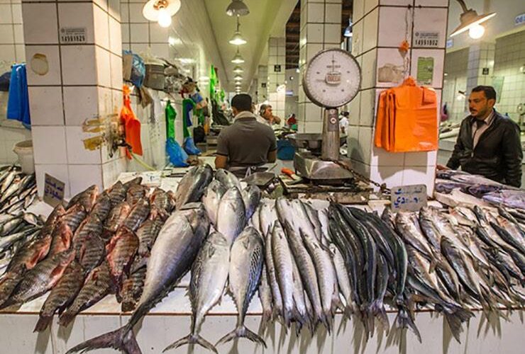 أسعار السمك للمستهلك اليوم الخميس 4 ابريل 2024 فى جميع منافذ البيع المصريه