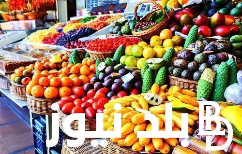 ”  باذنجان و فلفل” أسعار الخضروات في سوق العبور اليوم الثلاء 16 ابريل 2024