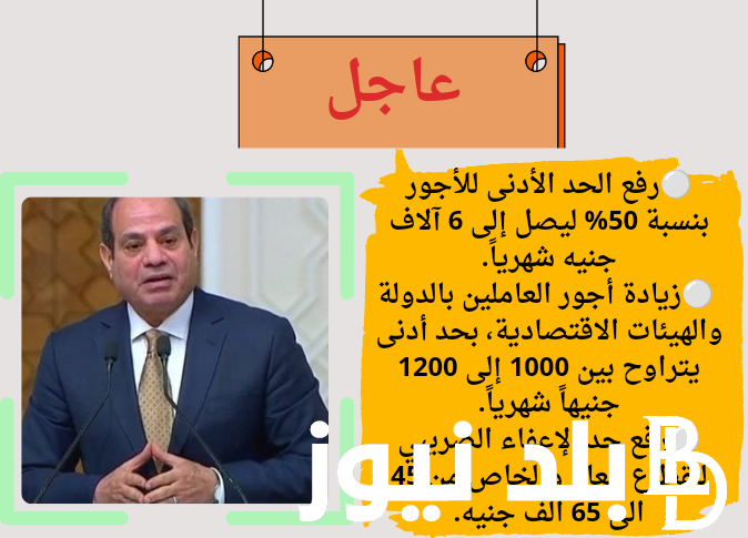 “بقيمة 6000 ج” الحد الادنى للاجور في مصر 2024.. مجلس القومي للاجور يكشف