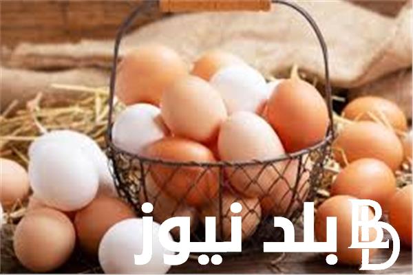 سعر البيض اليوم في مصر الثلاثاء 23/4/2024 في الأسواق المصرية
