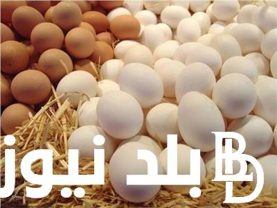 سعر البيض اليوم في مصر الاثنين 15 ابريل 2024 في بورصة الدواجن
