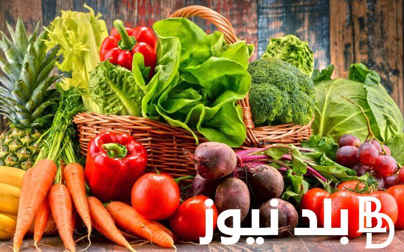 اسعار الخضار اليوم الاحد 14 ابريل 2024 في جميع الاسواق المصرية وسوق العبور