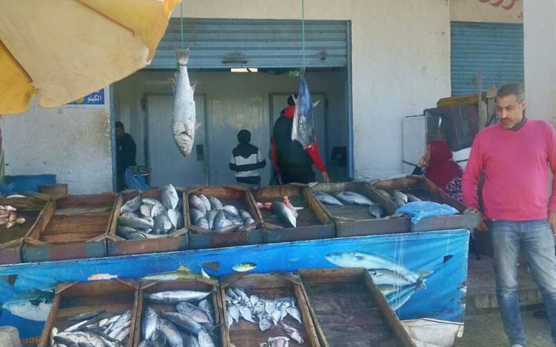 أسعار السمك اليوم للمستهلك الخميس 4 أبريل 2024 في مصر و في سوق العبور
