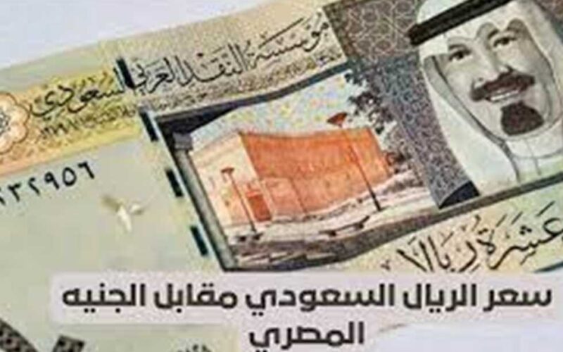 “هيوصل 14 جنيه” كم سعر الريال السعودي مقابل الجنيه المصري اليوم الاربعاء 17 ابريل 2024 في مصر