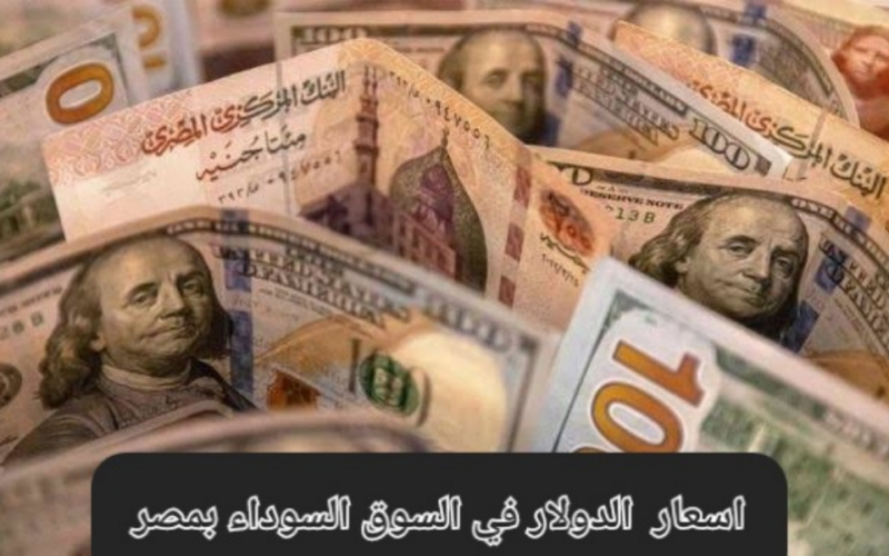 الدولار علي كام انهاردة؟.. سعر الدولار في السوق السوداء في مصر اليوم لحظة بلحظة الخميس 4 ابريل 2024