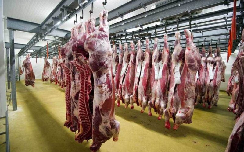 “استقرار الكندوز” اسعار اللحوم اليوم الأثنين 8 أبريل 2024 في مصر للمستهلك و منافذ الوزارة
