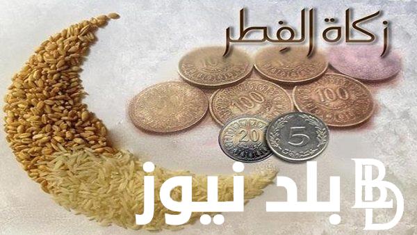 “هل يجوز إخراج زكاة الفطر مالاً ” اخراج زكاه الفطر 2024.. دار الإفتاء تحسم الجدل