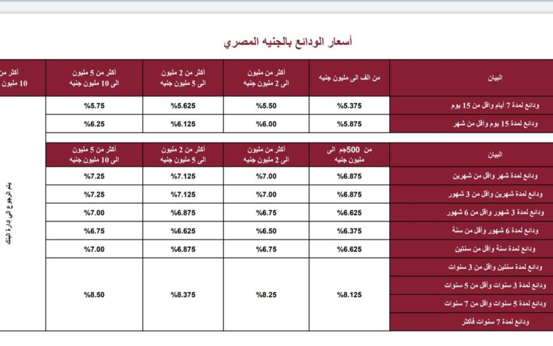 ‎”حوش واستثمر” شهادات بنك مصر 2024 الجديدة بعائد يصل الي 30% علي مدار 3 سنوات