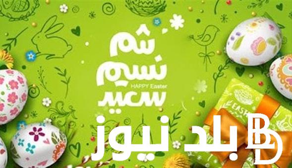 تهنئة عيد شم النسيم 2024 للأصدقاء والأحباب و موعد شم النسيم في مصر