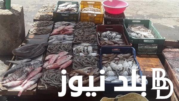 “تراجع كبير” أسعار السمك اليوم الاحد 28 ابريل 2024 في مصر بعد حملة مقاطعة الاسماك