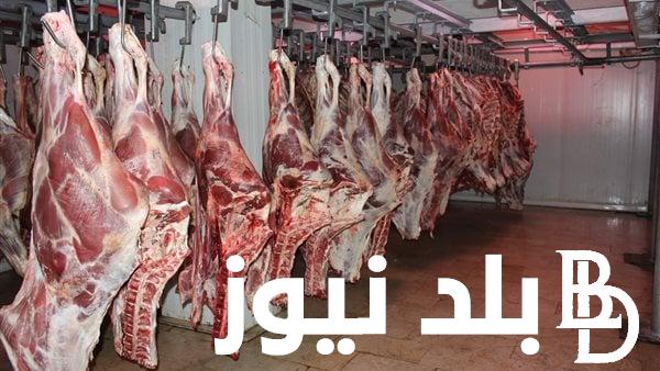 “بتلو وجملي” اسعار اللحوم اليوم الخميس 4 ابريل 2024 للمستهلك في محلات الجزارة ومنافذ البيع