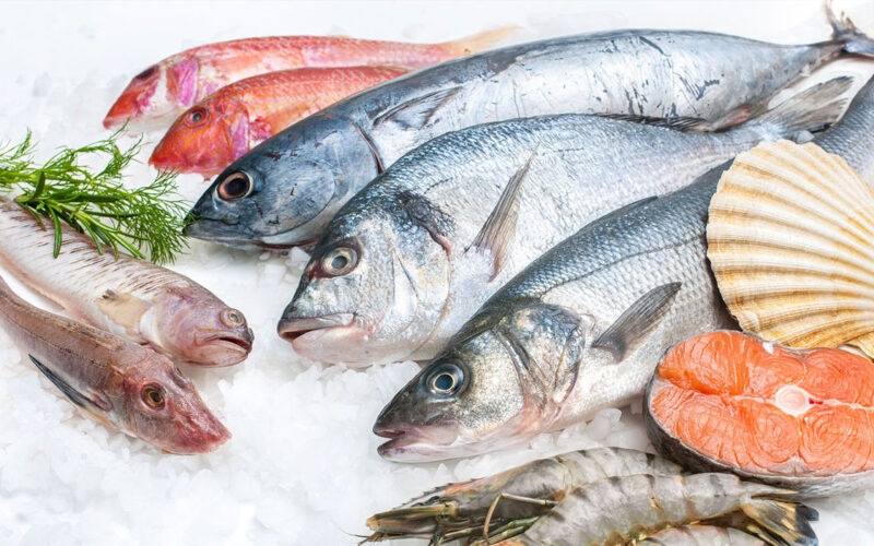 “مرجان ومكرونة” أسعار السمك اليوم بسوق العبور بتاريخ الإثنين 15 أبريل 2024