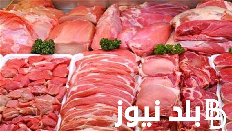 “تتراجع اللحوم” اسعار اللحوم المجمدة اليوم الخميس 4 أبريل 2024 في جميع محلات الجزارة