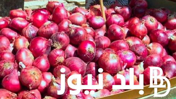 الكيلو بكام؟.. اسعار البصل اليوم الاربعاء 17 ابريل 2024 للمستهلك في سوق العبور