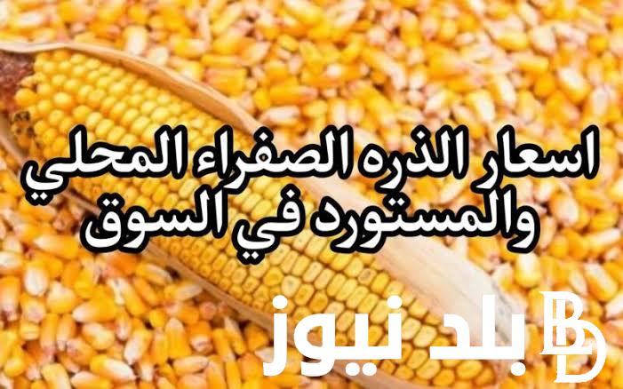 “مفاجأة بتفرح التجار” سعر الذرة اليوم السبت 27 ابريل 2024 للمستهلك في مصر