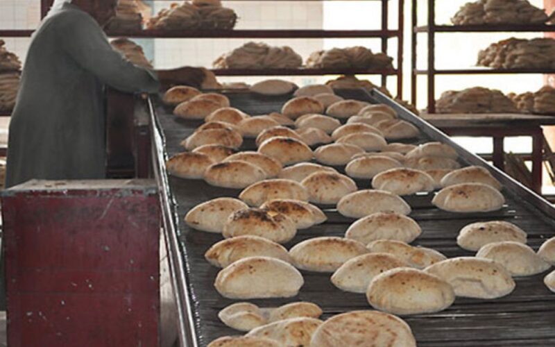 قائمة أسعار الخبز السياحي 2024 في مصر بجميع المخابز