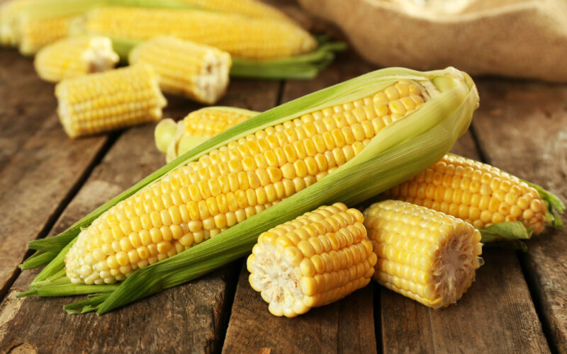 “الأصفر والأبيض” سعر الذرة اليوم الجمعة الموافق 5 ابريل 2024 في السوق المحلي للمستهلك