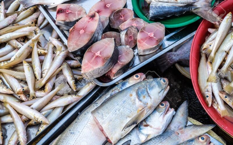 “بلطي وبوري” أسعار السمك اليوم للمستهلك الاحد 28 ابريل 2024 بسوق العبور بالجملة