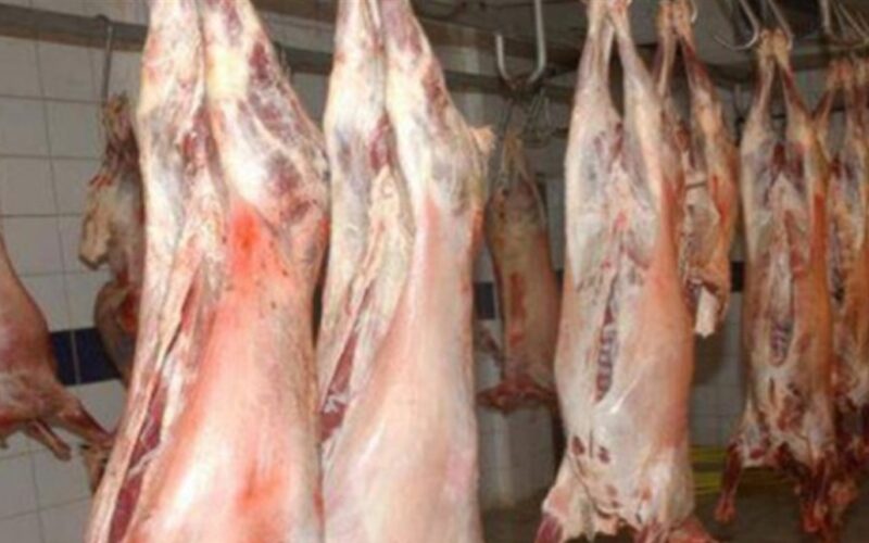 “الحمره بكام”  اسعار اللحوم اليوم الثلاثاء 9 ابريل 2024 فى جميع منافذ البيع المصريه