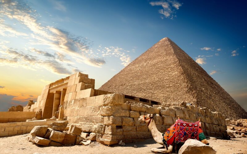 هل غدا عطلة رسمية في مصر 2024 و ما هي الاجازات الرسمية المتبقية