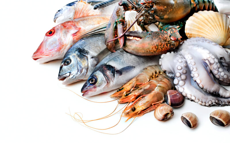 قائمة اسعار السمك اليوم الأربعاء 3 أبريل 2024 في جميع الأسواق والمحلات التجارية للمستهلك