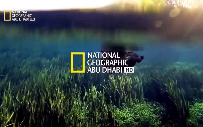 تردد قناة ناشيونال جيوغرافيك 2024 لاقوي وأحدث الافلام الوثائقية علي جميع الاقمارالصناعية