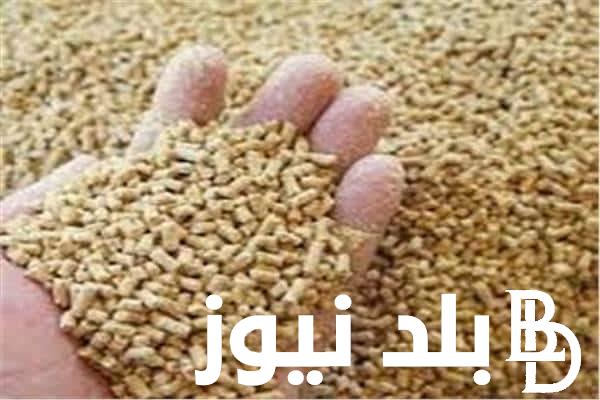 “تراجع في اسعار العلف” أسعار العلف اليوم الاثنين 15/4/2024 في الاسواق