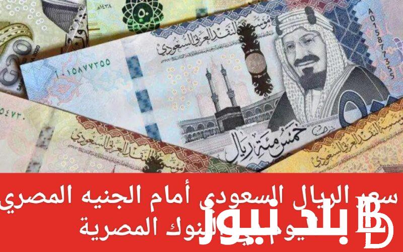 سعر الريال السعودي مقابل الجنيه المصري في السوق السوداء اليوم الثلاثاء 2-4-2024 في مصر
