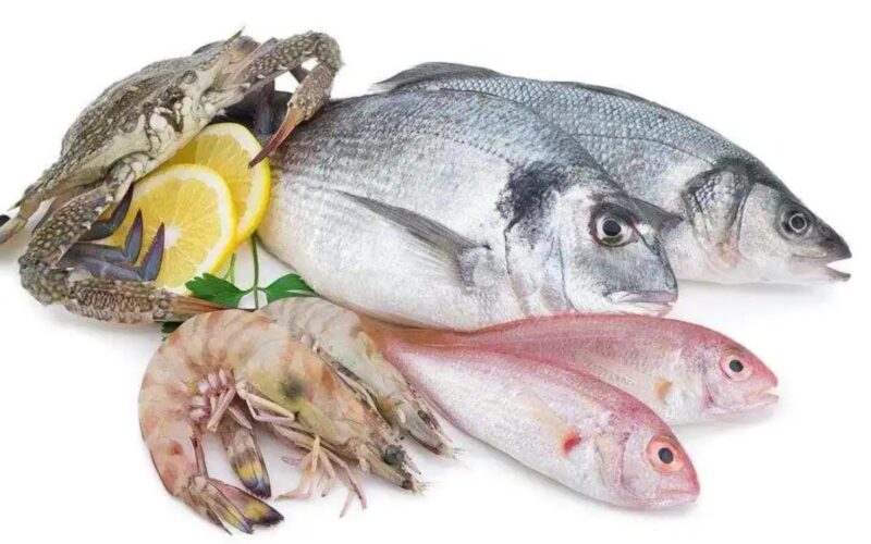تراجع أسعار السمك اليوم الثلاثاء 23 أبريل 2024 في الأسواق التجارية