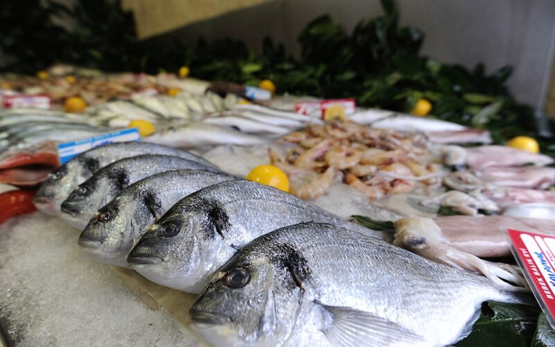 اسعار السمك اليوم الثلاثاء 2 أبريل 2024 في مصر بسوق العبور لتجارة الجملة