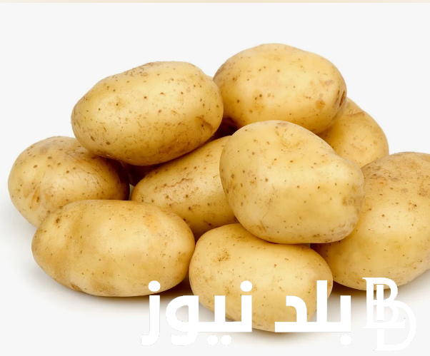 سعر البطاطس اليوم الخميس 25 ابريل 2024 في سوق العبور في مصر