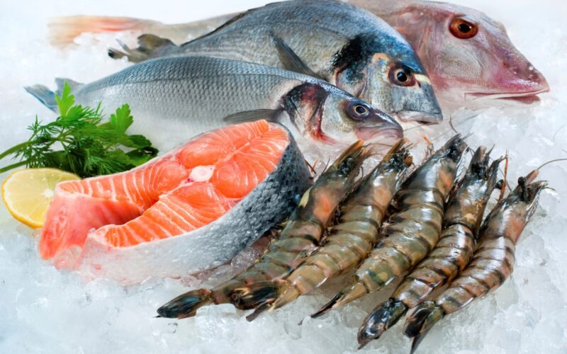 “سمك وجمبري” اسعار السمك اليوم الخميس 4 أبريل 2024 بجميع الأسواق المصرية للمستهلك