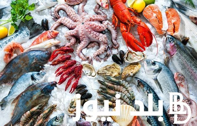 قائمة أسعار السمك اليوم الثلاثاء 9 ابريل 2024 في سوق العبور