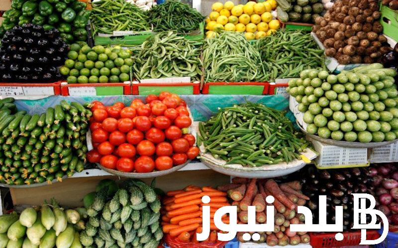 جدول اسعار الخضار اليوم في جميع الاسواق المصرية وسوق العبور السبت 6 ابريل 2024