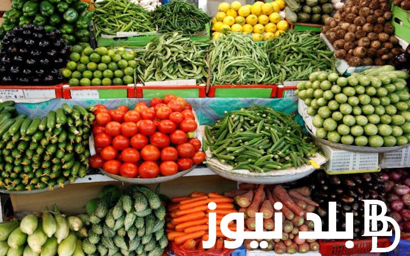 اسعار الخضار اليوم الاثنين 1 ابريل 2024 بسوق العبور واسواق التجزئة في مصر