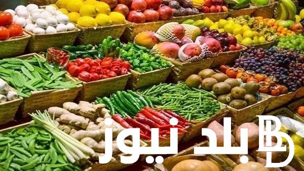 بكام الكيلو؟.. أسعار البصل اليوم في سوق العبور الثلاثاء 2 ابريل 2024