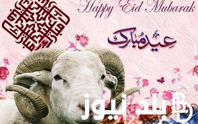 كم باقي على وقفة عرفات؟.. موعد عيد الاضحى 2024 بالمغرب وجدول العطل الرسمية